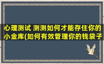 心理测试 测测如何才能存住你的小金库(如何有效管理你的钱袋子，让小金库日益壮大？)